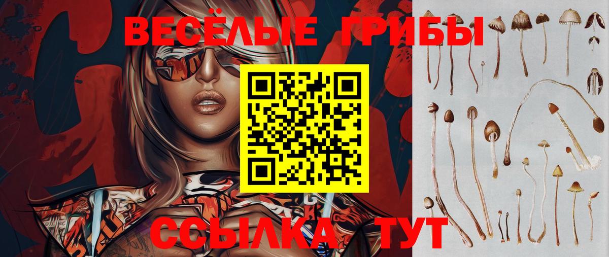 Галлюциногенные грибы Magic Shrooms  Вход с VPN  Кисловодск 
